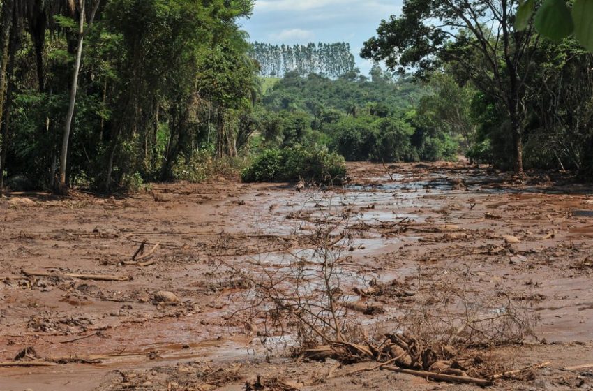 Multas de R$ 250 milhões da Vale pelo desastre de Brumadinho vão custear obras em parques nacionais