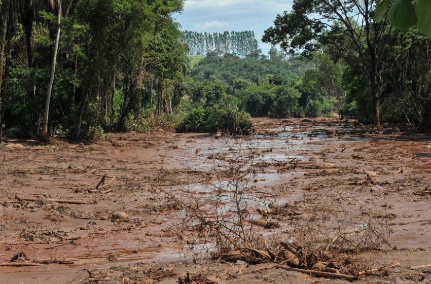  Multas de R$ 250 milhões da Vale pelo desastre de Brumadinho vão custear obras em parques nacionais