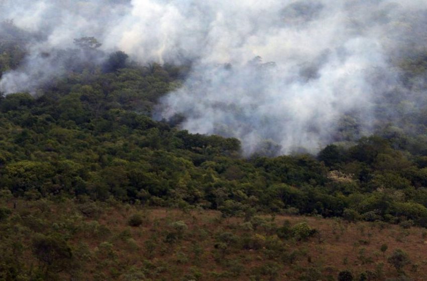  Decreto proíbe queimadas em todo o Brasil por 120 dias