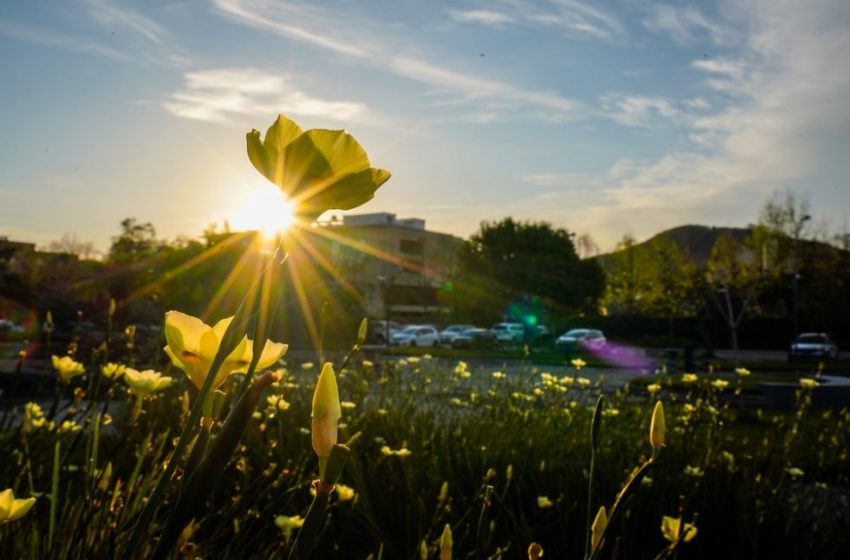  Fenômeno La Niña, promete primavera com chuvas irregulares em SC